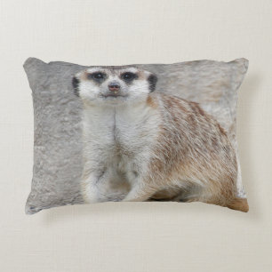 Meerkat 134 decorative cushion