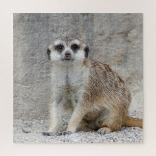 Meerkat 134 jigsaw puzzle
