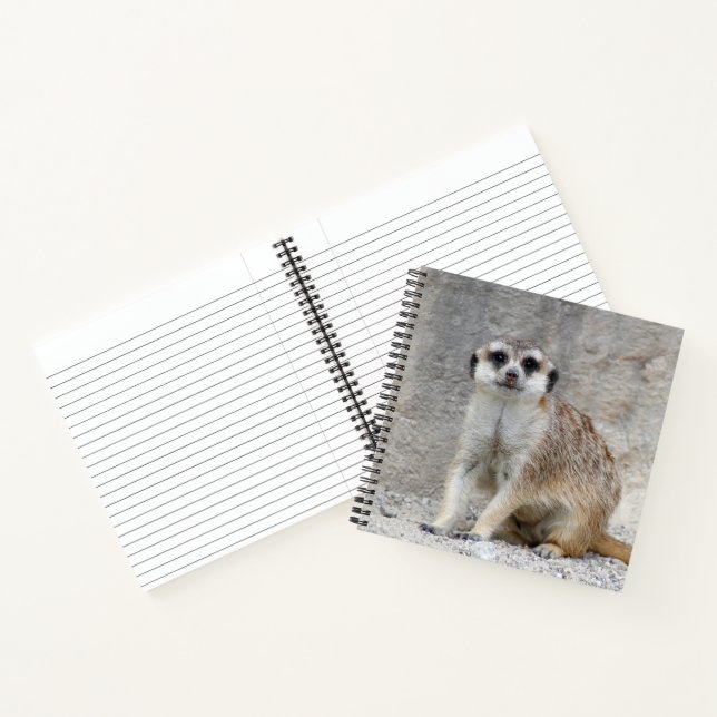 Meerkat 134 notebook (Inside)