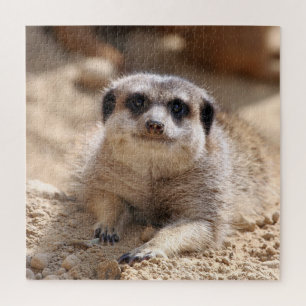 Meerkat 174 jigsaw puzzle