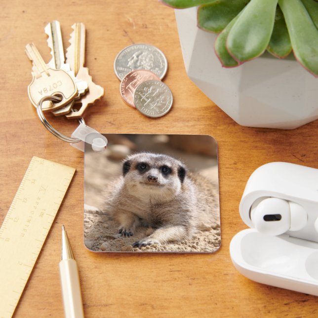 Meerkat 174 key ring (Desk)