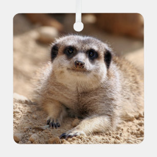Meerkat 174 metal tree decoration