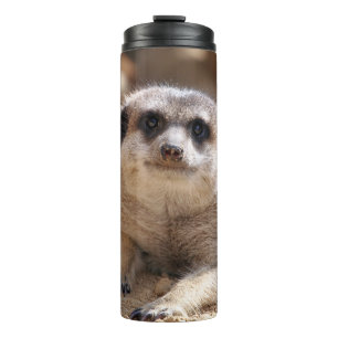 Meerkat 174 thermal tumbler