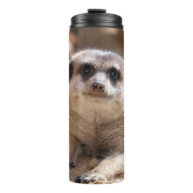 Meerkat 174 thermal tumbler (Front)
