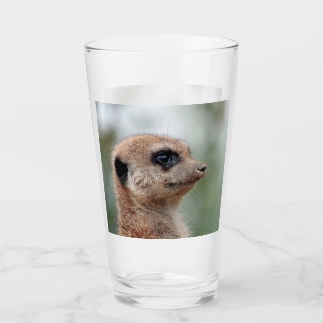 Meerkat 180 glass (Front)