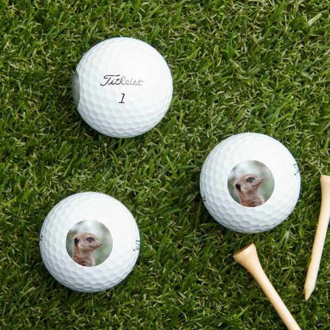 Meerkat 180 golf balls (Insitu Grass)