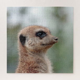 Meerkat 180 jigsaw puzzle