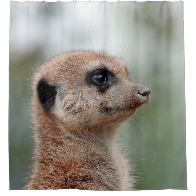 Meerkat 180 shower curtain (Front)