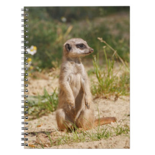 Meerkat 2014-0901 notebook