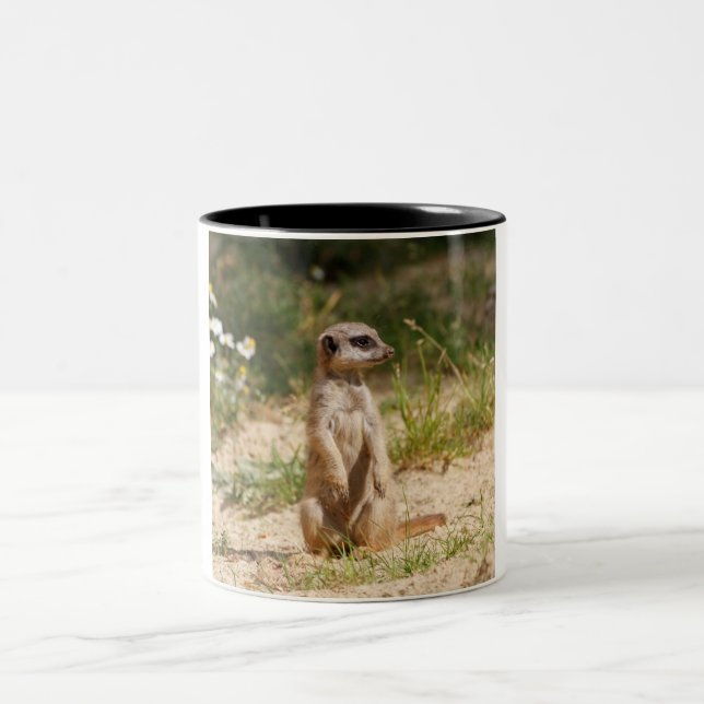 Meerkat 2014-0901 Two-Tone coffee mug (Center)
