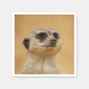 Meerkat 2014-1101 napkin