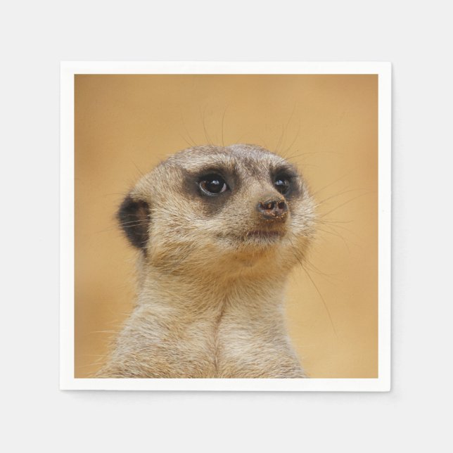 Meerkat 2014-1101 napkin (Front)