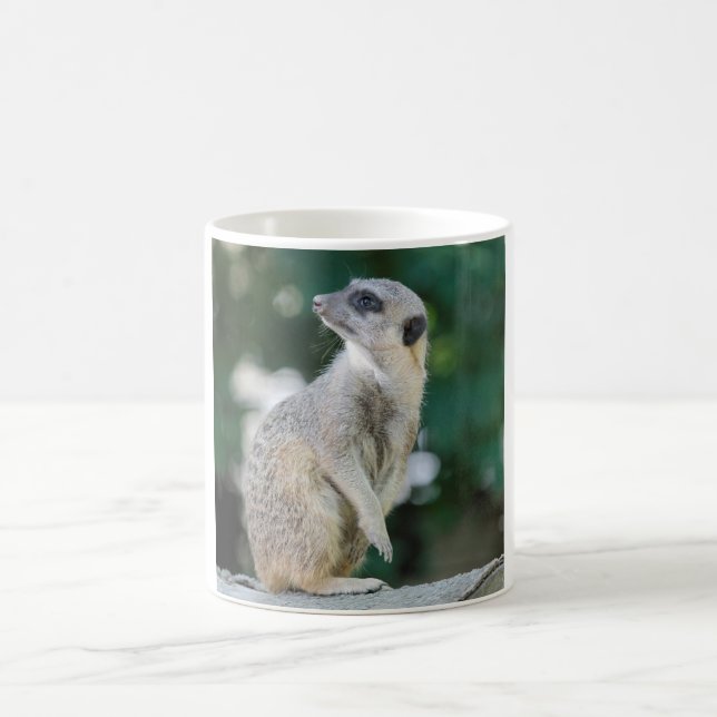Meerkat_2015_0103 Coffee Mug (Center)