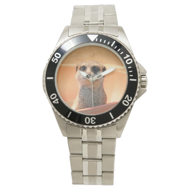 Meerkat_2015_0202 Watch (Front)