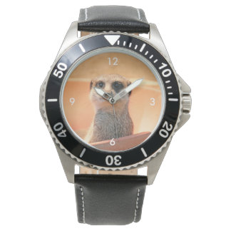 Meerkat_2015_0202 Watch