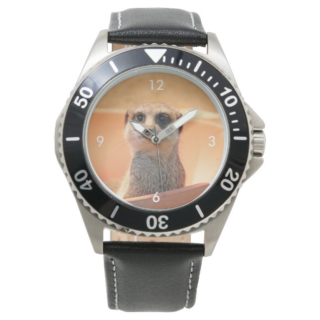 Meerkat_2015_0202 Watch (Front)