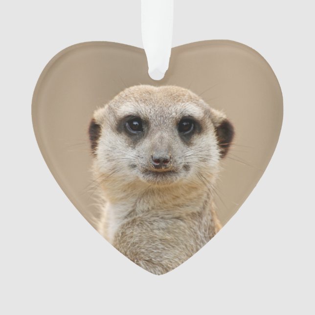 Meerkat_2015_0211 Ornament (Front)