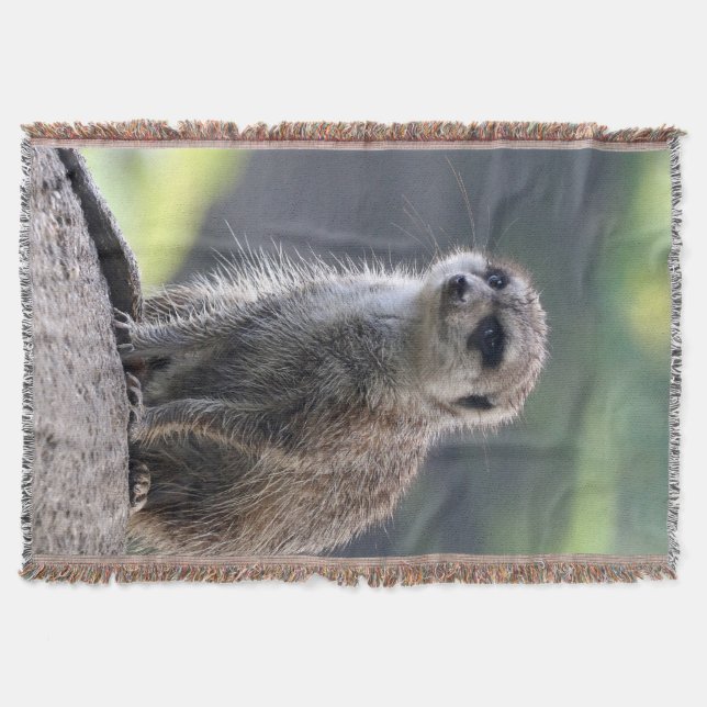 Meerkat_20171101_by_JAMFoto Throw Blanket (Front)