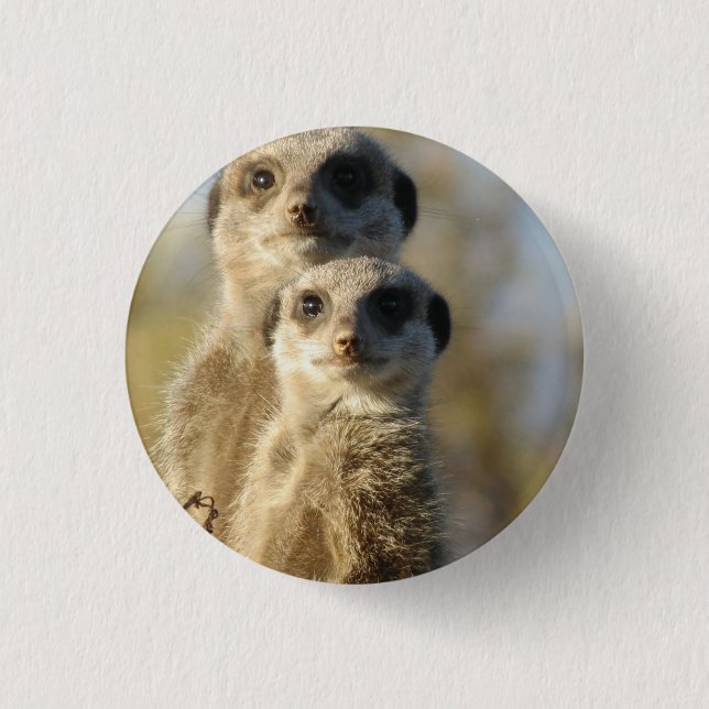 Meerkat 3 Cm Round Badge (Front)