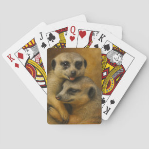 Meerkat Affection Playing Cards
