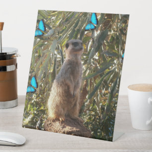 Meerkat And Blue Butterflies, Pedestal Sign