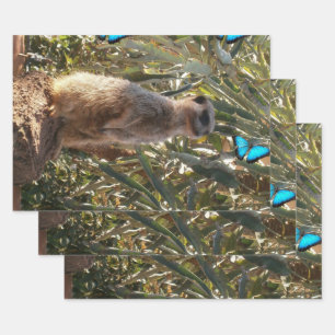 Meerkat And Blue Butterflies, Wrapping Paper Sheet