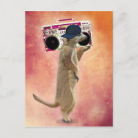 Meerkat and Boom Box
