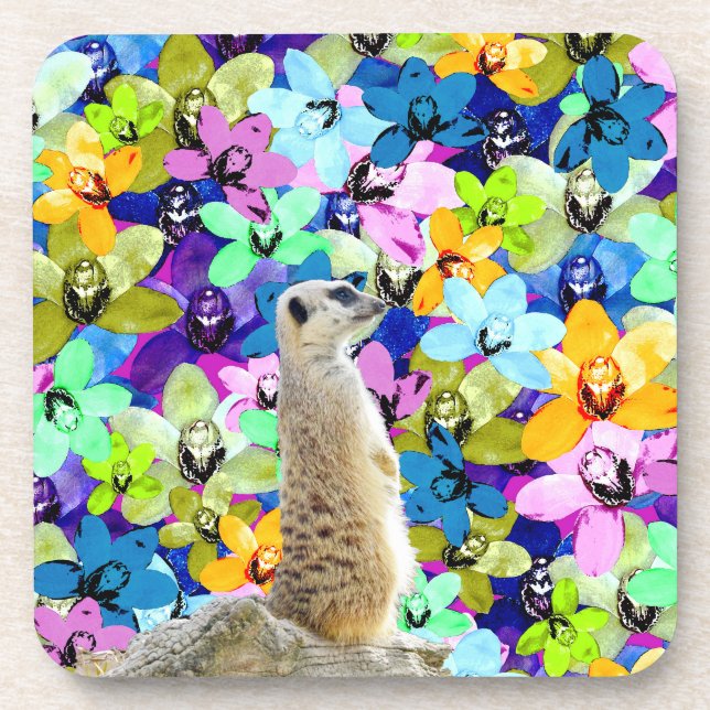 Meerkat And Watercolor Orchids, Coaster (Front)