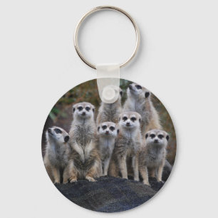 Meerkat Animal Safari Africa Cute Suricate Key Ring
