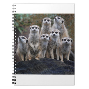 Meerkat Animal Safari Africa Cute Suricate Notebook