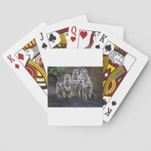 Meerkat Animal Safari Africa Cute Suricate Playing Cards