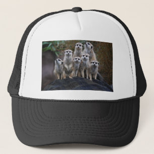 Meerkat Animal Safari Africa Cute Suricate Trucker Hat