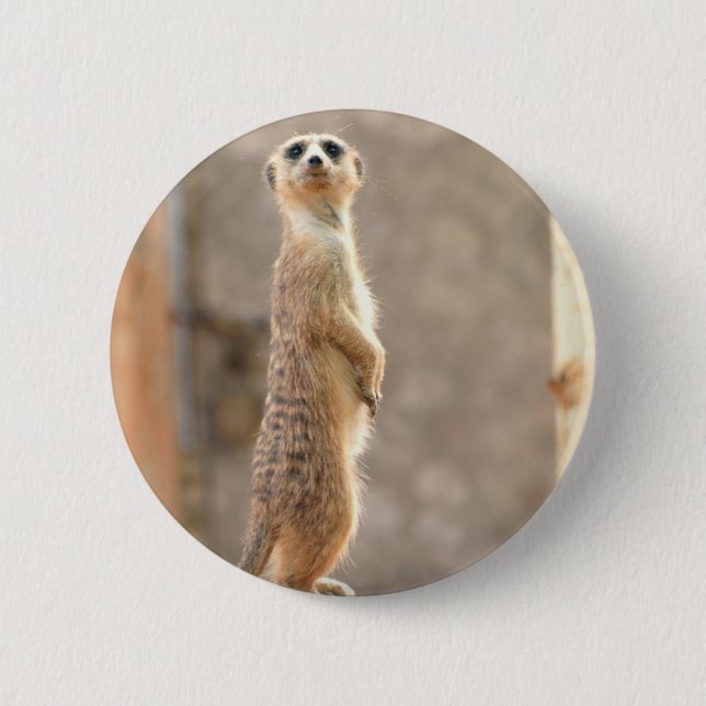 Meerkat at Attention Button (Front)