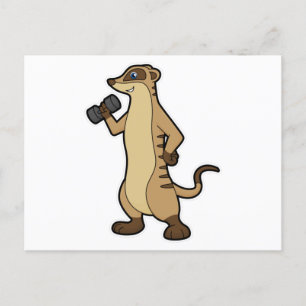 Meerkat at Strength training with Dumbbell Postcard