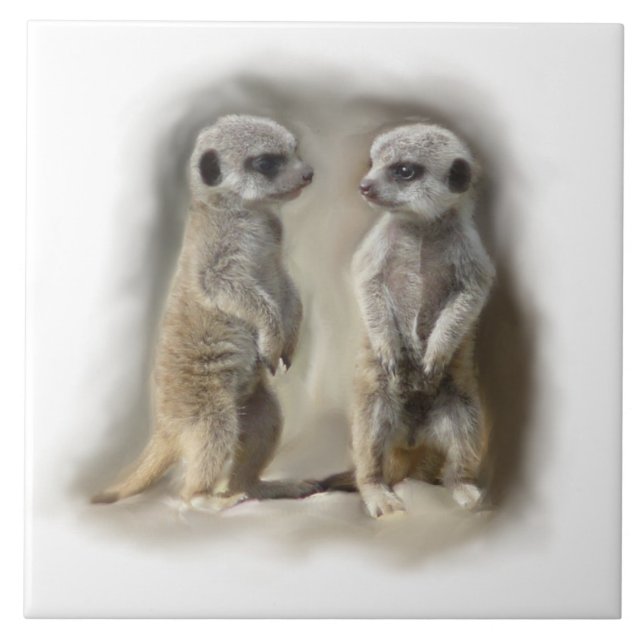 meerkat babies tile (Front)