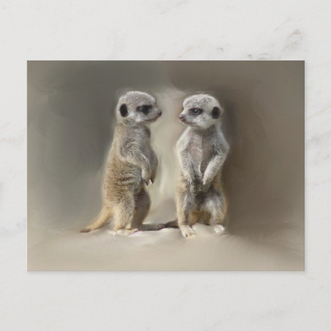 Meerkat baby twins postcard (Front)