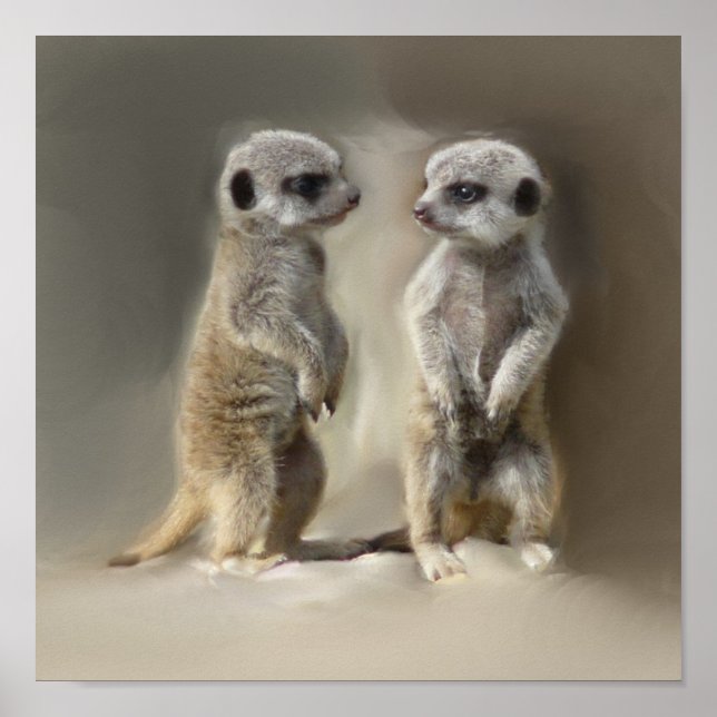Meerkat baby twins poster (Front)