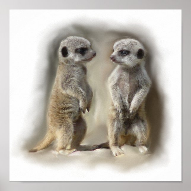 Meerkat baby twins poster (Front)
