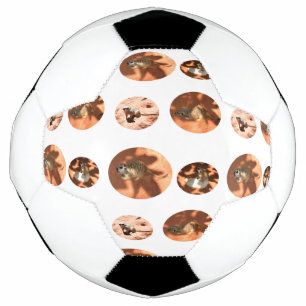 Meerkat Ball Shape, Soccer Ball