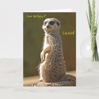 Meerkat Belated Birthday Card