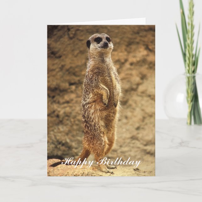 Meerkat Birthday Card (Front)