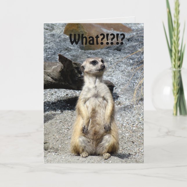 Meerkat Birthday Card (Front)