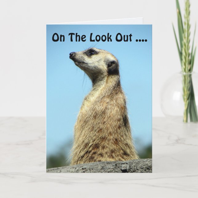 Meerkat Birthday Card (Front)