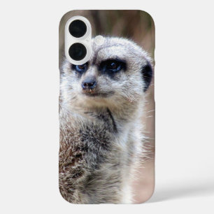 meerkat iPhone 16 case