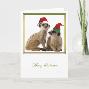 Meerkat Christmas 1 Holiday Card