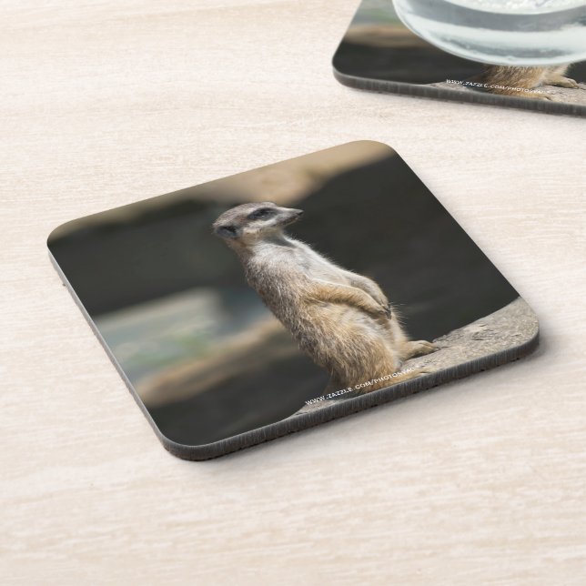 Meerkat Coaster (Left Side)