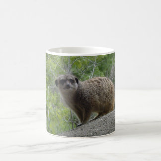 Meerkat Coffee Mug