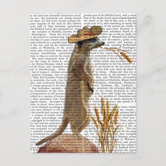Meerkat Cowboy Postcard (Front)