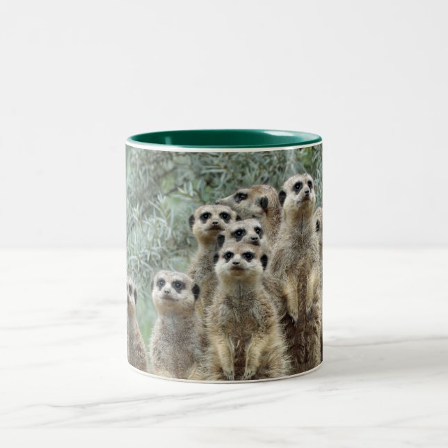 Meerkat Family 01 Two-Tone Coffee Mug (Center)