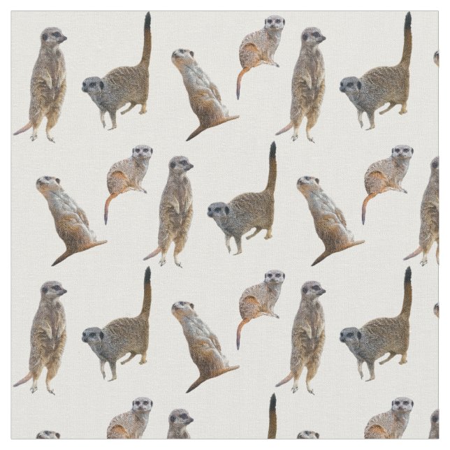 Meerkat Frenzy Fabric (choose colour) (Close Up)